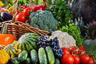 各种新鲜水果蔬菜图片下载 图片ID 1656425 水果蔬菜 图片素材 聚图网 JUIMG.COM